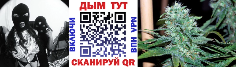 darknet телеграм Адыгейск Марихуана план ссылка на мегу онион